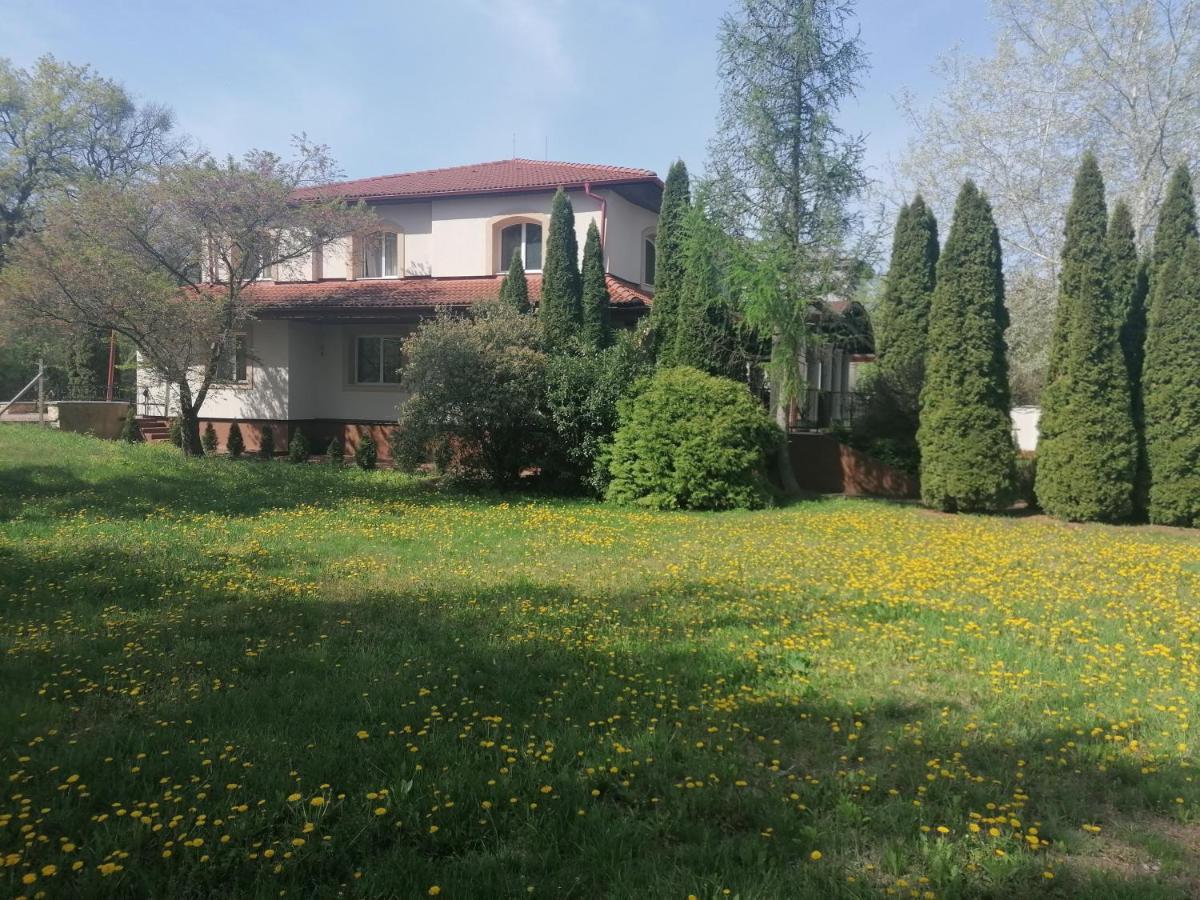 Staff Guest House Nyíregyháza المظهر الخارجي الصورة